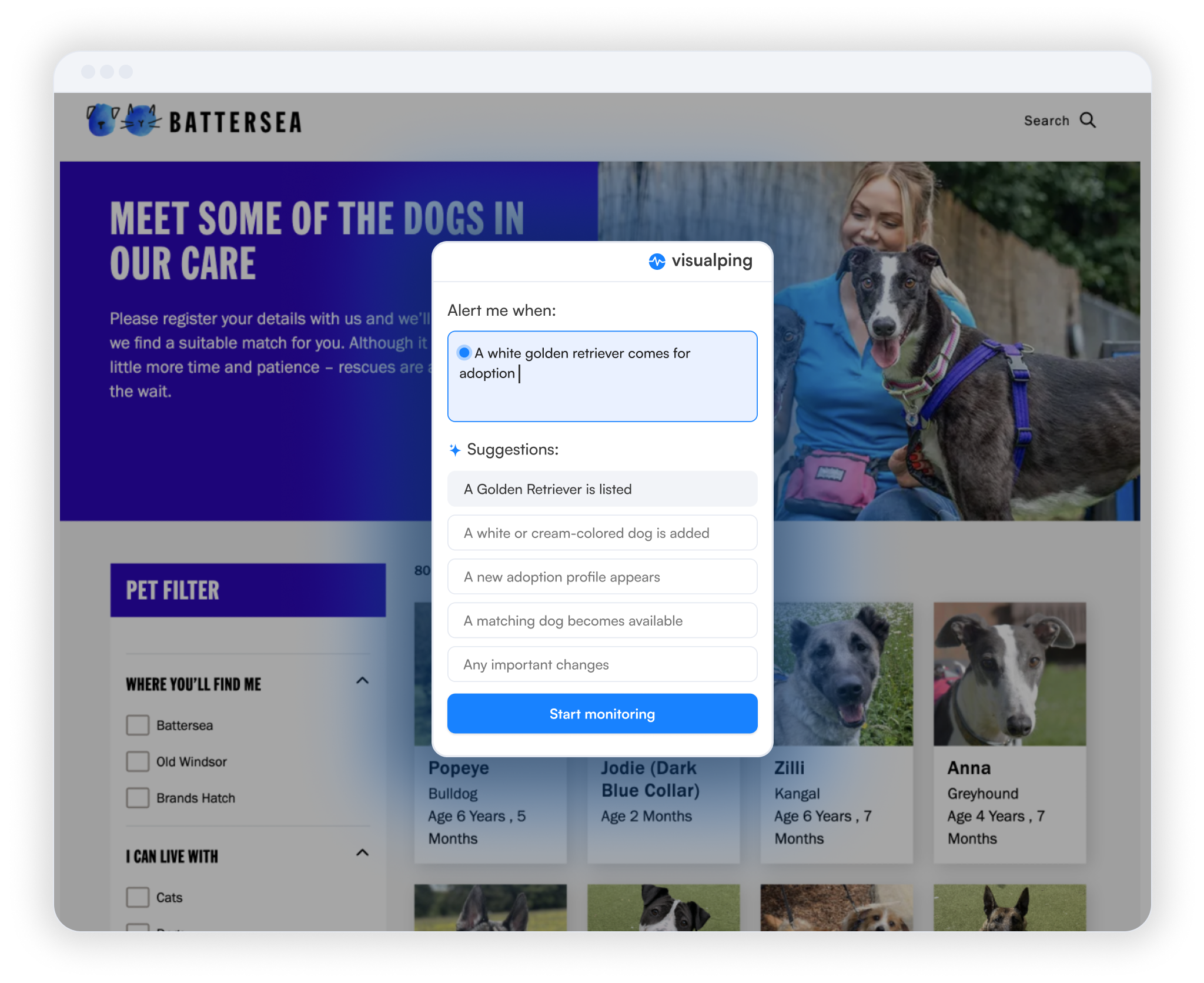 Visualping alert panel on the Battersea dog adoption page: name the change in plain language, with AI suggestions